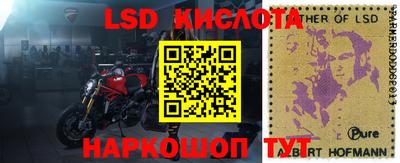 прущие грибы Лесосибирск