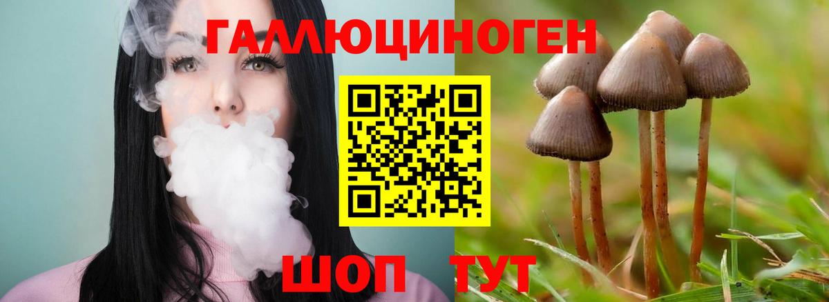 Вольск  Псилоцибиновые грибы Psilocybine cubensis  Вход с VPN  Галлюциногенные грибы мицелий 